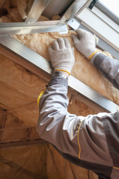 Best Insulation Maintenance and Repair in Marquette Heights, IL